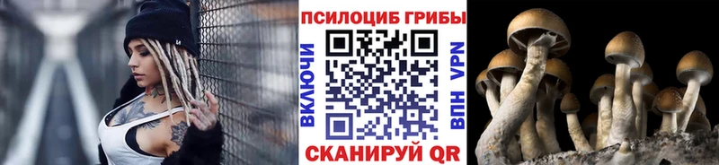 Галлюциногенные грибы MAGIC MUSHROOMS как найти закладки hydra маркетплейс Феодосия